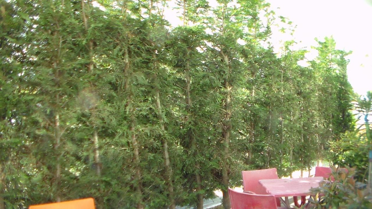 Shkoder Hotel Temali Esterno foto